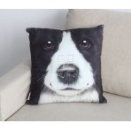 (ECC0247) 3D picture  -- Black Collie Dog face