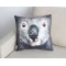 (ECC0248) 3D picture --  Koalas face 