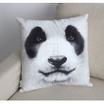 (ECC0252) 3D picture -- Panda face 