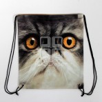 (EBG0017) Cat Face Shoes Bag 