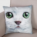 (ECC0223F/40) Cat Face Cushion