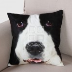 (ECC0247RF/40) Dog Face Cushion