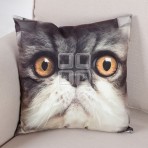 (ECC0250F/40) Cat Face Cushion