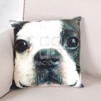 (ECC0319F/40) Dog Face Cushion