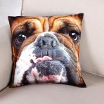 (ECC0320F/40) Dog Face Cushion