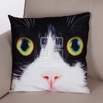 (ECC0333F) Cat Face Cushion