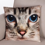 (ECC0334F) Cat Face Cushion