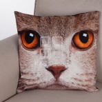 (ECC0335F) Cat Face Cushion
