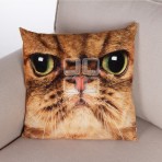 (ECC0336F) Cat Face Cushion